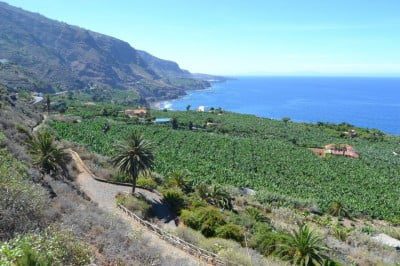 Restaurantes en Tenerife Norte | Restaurants in Northern Tenerife | Ristoranti a Tenerife Nord