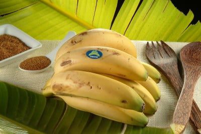Alimentación saludable en Tenerife
