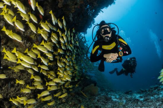 Curso Buceo Padi Tenerife