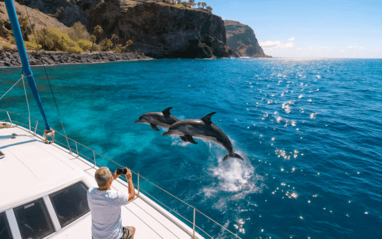 itinerario tenerife 3 dias excursion catamaran avistamiento cetaceos